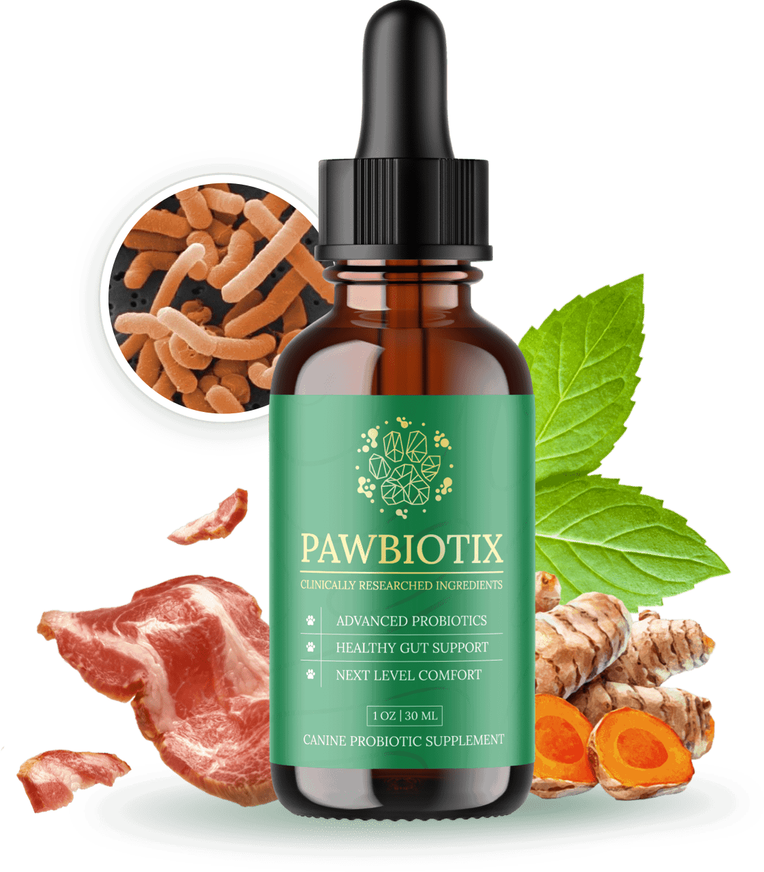 PAW-BIOTIX.JPEG